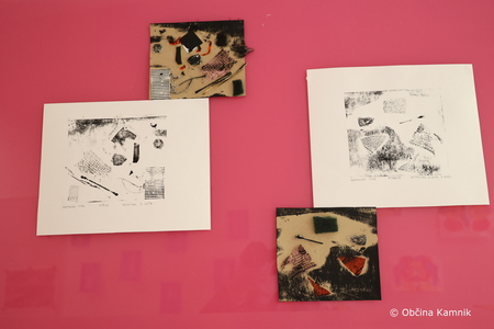 Razstava Kamnik, moje mesto (21)